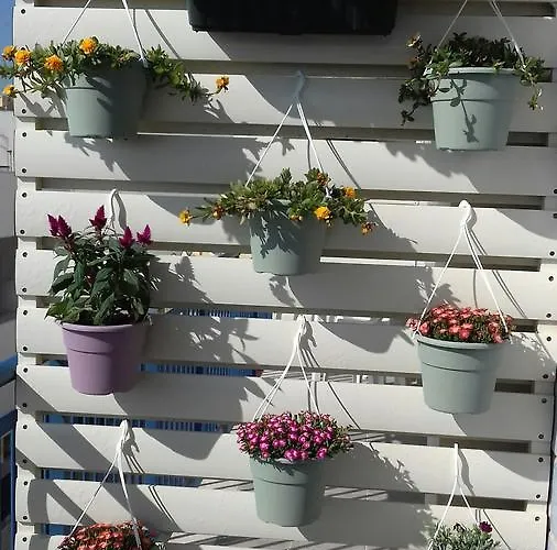 La Rosa Dei Venti 3*
